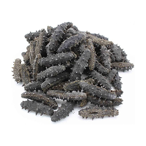 Pepino de Mar Seco al Por Mayor a Precio Económico - Product Image 3