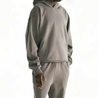 Hoodie Heavyweight Pria Sweatshirt Streetwear Pakaian Grafis Terinspirasi Web Cetak Puff ODM Vendor Grosir Siap Kirim Versi Dasar