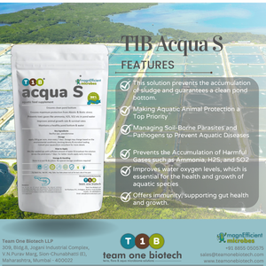 Optimisation de la santé de l'eau et du sol Meilleurs probiotiques pour l'aquaculture - Product Image 2