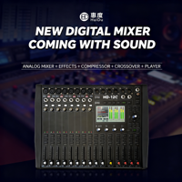 Console de mixage audio numérique professionnelle HD-16C 16 canaux avec 99 effets DSP, 48V, Bluetooth, USB, en métal, pour scène et église