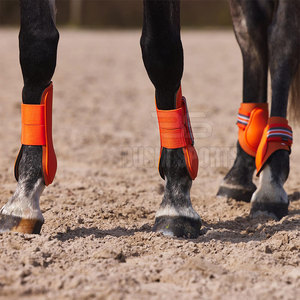 Protège-tendons de cheval haute performance offrant un confort respirant et une protection optimale pour les chevaux - Product Image 3
