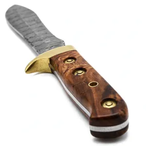 Couteaux de chasse à lame arrondie, manche marron, broches décoratives et garde-lame doré pour le voyage, le camping et la découpe sur le terrain - Product Image 4