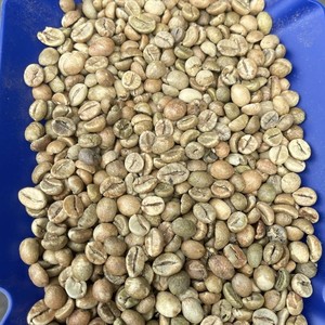 Premium Vietnam Robusta Green Coffee <b>Beans</b> Size 18 Vietnam coffee Instant Bulk Export High Caffeine Coffee Supplier - Product Image 6