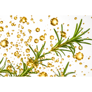 Extrait liquide de romarin pour la fabrication cosmétique, innovation parfumée, formulations beauté et réseau de distribution mondial - Product Image 4