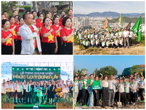 Top New 105ml DT Soft Sea Grape Jelly Bag Bebida de algas marinas con sabor a fresa lista para comer de Vietnam - Product Image 4