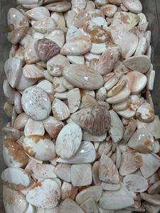 Natural <b>Pink</b> Scolecite Gemstone Cabochon Used For <b>Healing</b> Jewelry and Astrological Purposes In Affordable Price. - Product Image 5