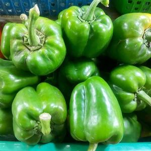 green bell pepper <b>Fresh</b> Organic Pepper Green Red Yellow Whole and Halved Capsicum <b>Vegetables</b> Grade a for Cooking and Snacking - Product Image 2