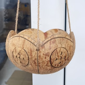 Pot de plante en coquille de noix de coco, prix le plus bas, pour extérieur et intérieur, vente flash, pots naturels - Product Image 4