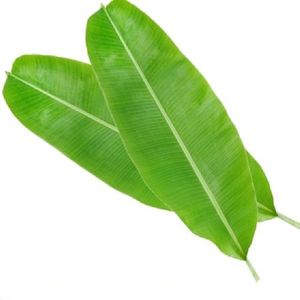 Feuilles de banane fraîches de qualité supérieure, feuilles de banane vertes naturelles, qualité alimentaire, fournisseur en gros du Vietnam, qualité d'exportation pour l'emballage alimentaire - Product Image 1