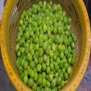 Petits pois verts en conserve indiens en gros pour les sociétés de commerce international, les distributeurs alimentaires et les équipes d'approvisionnement des supermarchés - Product Image 6