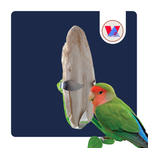 ¡OFERTA ESPECIAL! Hueso de Sepia Seco Entero de 20-25cm, Paquete a Granel de 15kg, para el Cuidado del Pico de Loros, Suministros Naturales y Sostenibles para Mascotas - Product Image 1