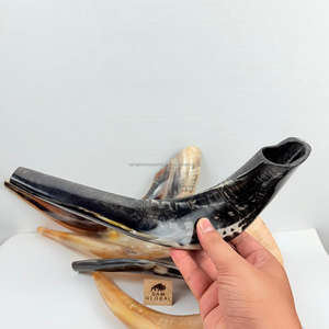 Shofar yemenita ecológico hecho a mano de color natural, cuerno natural que sopla Rosh Hashanah Kosher Ram, técnica pulida judía - Product Image 4