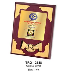 Placa de Presentación Elegante en Plata con Diseño de Espiral, Alta Demanda, para Ceremonias Académicas, Deportivas y de Eventos, Disponible a Buen Precio - Product Image 1