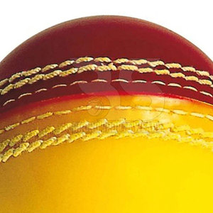 Cricket <b>Balls</b> Premium Leather Seam Professional Soft Hard Training Match Practice Sports Equipment - Product Image 5