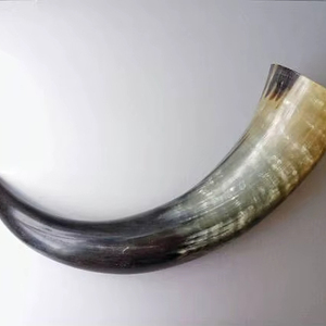 Cuerno Decorativo para Exhibición - Product Image 1