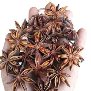 Star Anise Top Product Natural Sun Dried Star Anise From Vietnam Export Agricultural Products - Whatsapp 0084 989 322 607