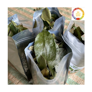 ซื้อส่วนประกอบสมุนไพรจำนวนมาก | ใบทุเรียนเทศแห้งจากธรรมชาติโรงงาน OEM - Product Image 2