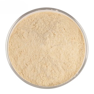 Polvo de Raíz de Costus de Primera Calidad, Polvo Puro de Raíz de Saussurea Costus para Mezclas de Té de Hierbas, Bebidas Funcionales y Smoothies - Product Image 2