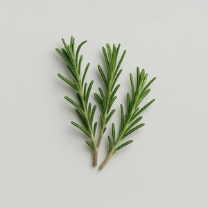 Venta al por mayor de fábrica: Nueva cosecha de té de hierbas, hierbas secas naturales, menta, hierbabuena, bálsamo de limón, jengibre, romero. - Product Image 1