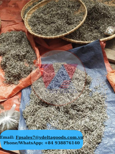 Tubo de Bambú de Té Shan Tuyet de Vietnam, Capullos de Té Selvático Premium Snow Shan / Proveedor a Granel / Empaque OEM ANGLE - Product Image 2