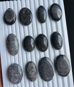 Coral Fósil Negro Natural de Grado AAA, Cabujón de Piedra Preciosa Suelta, Lote Surtido de Formas Mixtas Hechas a Mano para la Fabricación de Joyas - Product Image 4