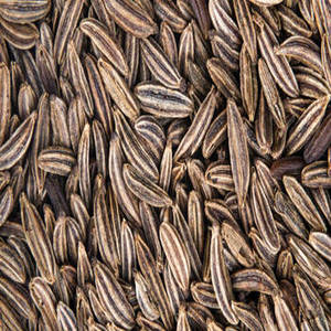 Frische ganze Jeera-Samen aus Indien für den Großhandelsvertrieb, kommerzielle Verpackung und weltweite Agrarprodukte - Product Image 3