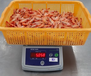 Camarón de Vietnam HOSO Vannamei Caja de camarones cocidos enteros Embalaje de camarones vivos - Product Image 4