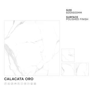 Super Quality 24x24 Designs Polished Porcelain Floor Tiles Glacier Nero Classic Modern Style for Home Outdoor Hall Bathroom - Product Image 6