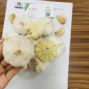 Ninniku กระเทียมขาวบริสุทธิ์ราคาถูกที่สุด/Manul/lehsan พืชผลพืชผล2025สดคุณภาพสูงพร้อมส่งออก (+ 84 36 8683 680) - Product Image 2