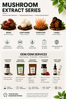 Poudre d'extrait de champignons biologiques en vrac : Mélange fonctionnel de champignons Lion's Mane, Reishi, Cordyceps, Chaga, Turkey Tail - Fournisseur