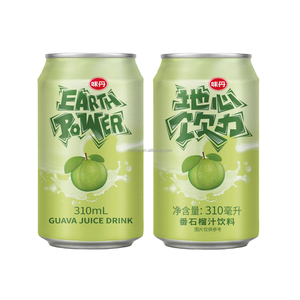 Bebidas VEDAN EARTH POWER GUAVA JUICE DRINK - Product Image 1