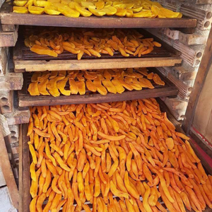 Batata seca seleccionada de Vietnam para importadores globales de snacks y para la creación de paquetes de regalo exóticos por 99 Gold Data - Product Image 3