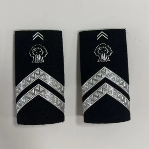 Custom High Quality Shoulder <b>Badge</b> Epaulets with Enamel Plating Lace Rhinestones for Airline Security Staff Uniforms - Product Image 3