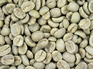 Vietnam Organic Green <b>Coffee</b> <b>Beans</b> Arabica S18 Wholesale Direct Export USDA Organic Certified Low Defect TNFOOD AA+ Grade - Product Image 3
