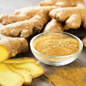 Poudre d'extrait de gingembre de qualité alimentaire en vrac, 10 % de gingérols, haute puissance, supplément naturel à base de plantes d'Inde - Product Image 4