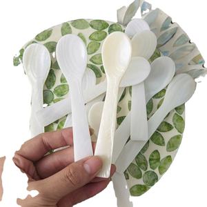 Elegante cuchara vietnamita de nácar hecha de concha de ostra para servir caviar, huevo, helado, café y postres. - Product Image 1