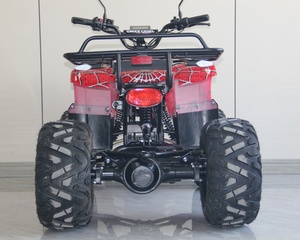 <span class=keywords><strong>Quad</strong></span> électrique tout-terrain pour jeunes <span class=keywords><strong>1000W</strong></span> <span class=keywords><strong>48V</strong></span> 20AH avec moteur à arbre de transmission et batterie, pneus tout-terrain - Product Image 4