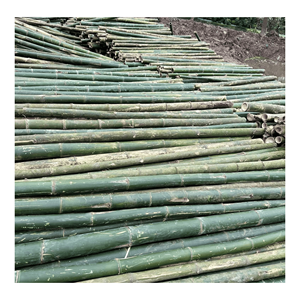 Poteau en bambou naturel, fabriqué à partir de bambou naturel pour le soutien de la construction et la fabrication de cadres de meubles au Vietnam. - Product Image 5