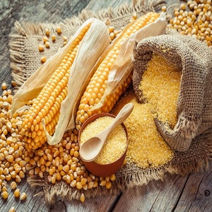 Livraison Rapide Farine de Gluten de Maïs Riche en Protéines Haute Qualité Vente en Gros Meilleur Prix Acheter Ingrédient Alimentaire de Qualité Supérieure - Product Image 3