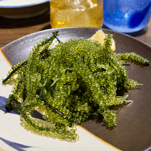 OFERTA ESPECIAL Uvas de Mar / Algas Umibudo / Algas Saladas / Caviar Verde / MS ALINA - Product Image 2