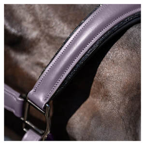 Elegante y Resistente Brida de Cuero Estilo Inglés para Caballo, Color y Tamaño Personalizables, Reutilizable, Cómoda, para Montar al Aire Libre - Product Image 2