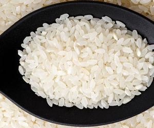 Arroz Camolino de Grano Corto de Primera Calidad, Arroz Blanco Calrose Japonica Fresco HALAL, Doble Sortex, para Exportación al por Mayor - Product Image 3