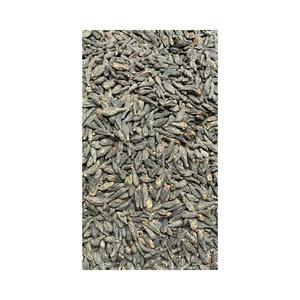 Produit agricole à base de plantes Matière première Terminalia Chebula noir séché au soleil de la région vallonnée de l'ouest de Maharashtra en Inde - Product Image 1