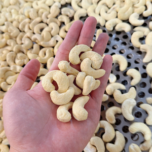 เม็ดมะม่วงหิมพานต์คัชชู บาดัม ซานติโก ส่งออกไปยังตะวันออกกลางและสหภาพยุโรป เม็ดมะม่วงหิมพานต์คัชชู - Product Image 6