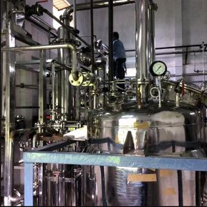 Phyllanthus Niruri utilisé pour la fabrication d'extraits industriels provenant d'un fournisseur indien au meilleur prix - Product Image 1