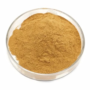 Poudre de Kapoor Kachri Premium OEM ODM 100% Pure et Naturelle, Poudre de Racine de Hedychium Spicatum pour la Croissance des Cheveux, les Soins Capillaires et les Soins de la Peau - Product Image 3