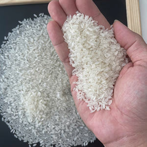 Nouvelle récolte de riz Calrose Japonica Camolino à grains courts, qualité égyptienne, frais, HALAL, double tri Sortex, pour l'exportation en vrac au Mexique et au Brésil - Product Image 4