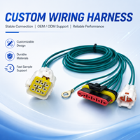 Harness Kabel Elektronik Tahan Air PBT Kustom Bersertifikasi Weisheng IATF16949 5P 9P IP67 DJ7026-2-11/21