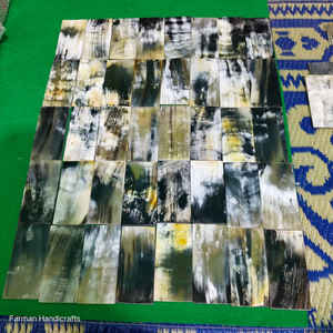 Plato Decorativo de Cuerno Blanco Hecho a Mano, Plato Natural para Servir y Exhibir a Precio Económico - Product Image 3