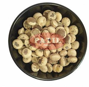 Semillas Naturales de Kataka para Remedios Tradicionales, Nirmali Beej para Purificación y Filtración de Agua, de Proveedor de la India - Product Image 2